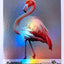 Flamingo Trading Card "Elegant Bird" - 2023 GleeBeeCo Holo Creatures