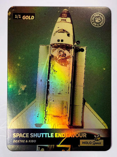 1/1 Space Shuttle Endeavor Card (Holo Gold) - Dextre & Kibo - 2023 GleeBeeCo