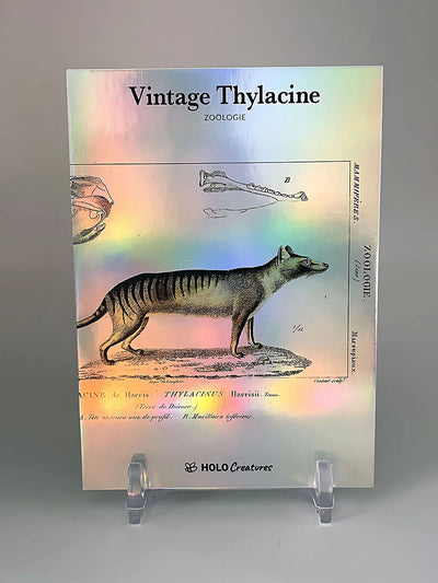 Thylacine Card (Tasmanian Tiger Vintage Art) - Zoologie - 2024 GleeBeeCo #VNZL