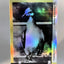 Passenger Pigeon Photo Trading Card (Holographic) - GleeBeeCo Bird Card