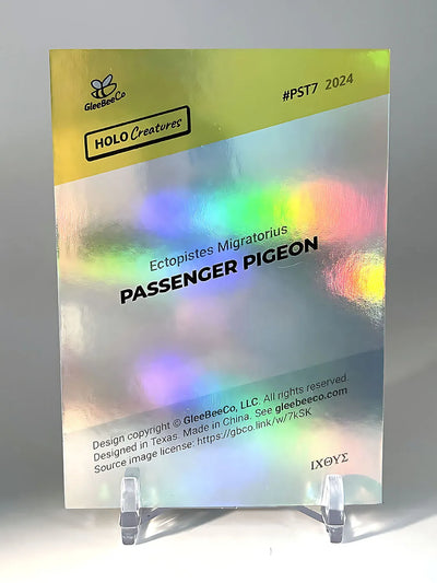 Passenger Pigeon Photo Trading Card (Holographic) - GleeBeeCo Bird Card