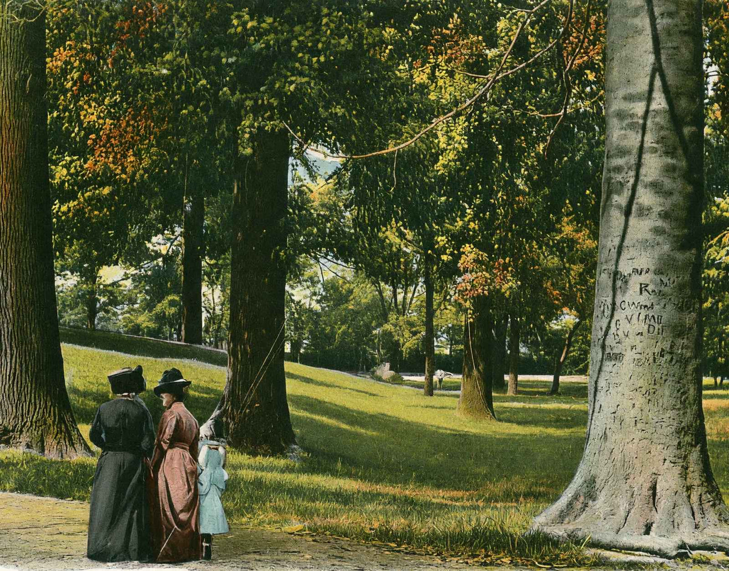 In Central Park Louisville in 1904 Vintage Print (7 Sizes) - Acid Free
