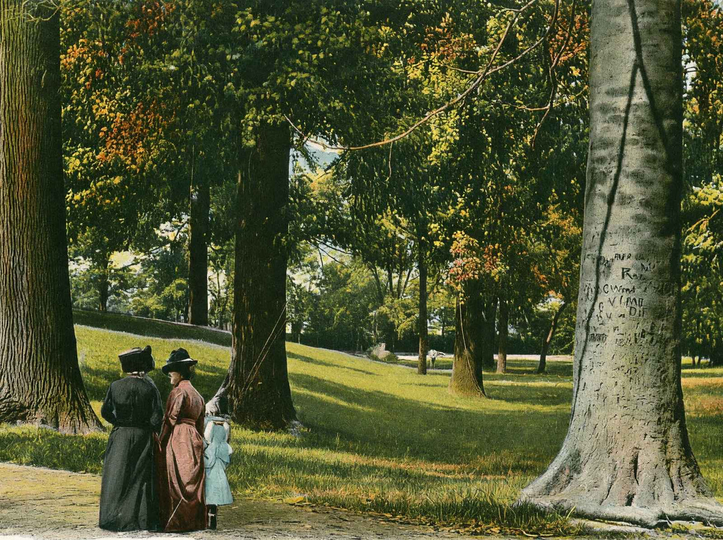 In Central Park Louisville in 1904 Vintage Print (7 Sizes) - Acid Free