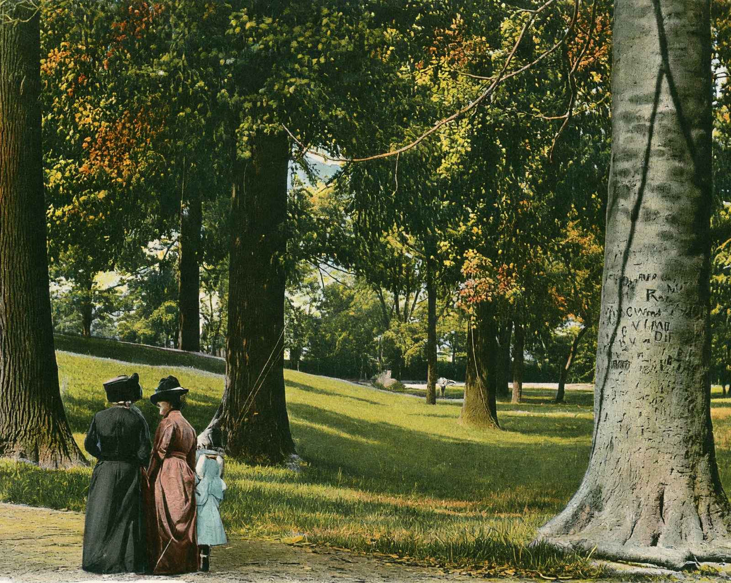 In Central Park