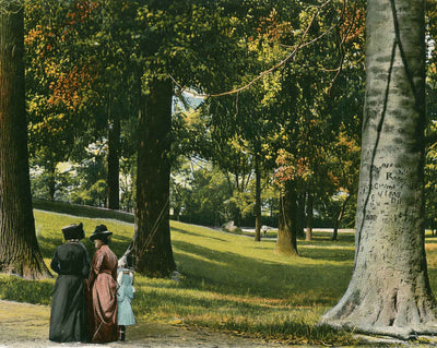 In Central Park