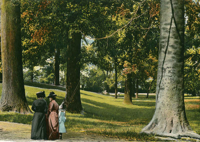 In Central Park Louisville in 1904 Vintage Print (7 Sizes) - Acid Free