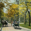 Middle Drive in Woodruff Place Indianapolis in 1905 Vintage Print (7 Sizes)
