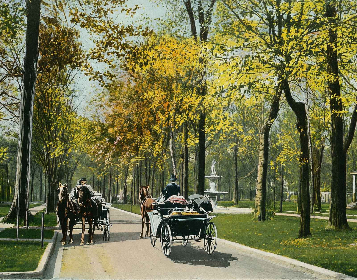 Middle Drive in Woodruff Place Indianapolis in 1905 Vintage Print (7 Sizes)