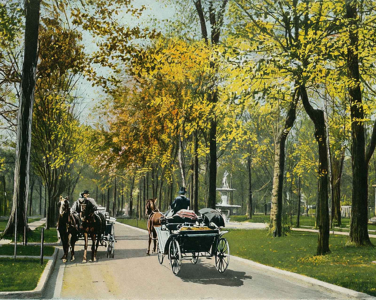 Middle Drive