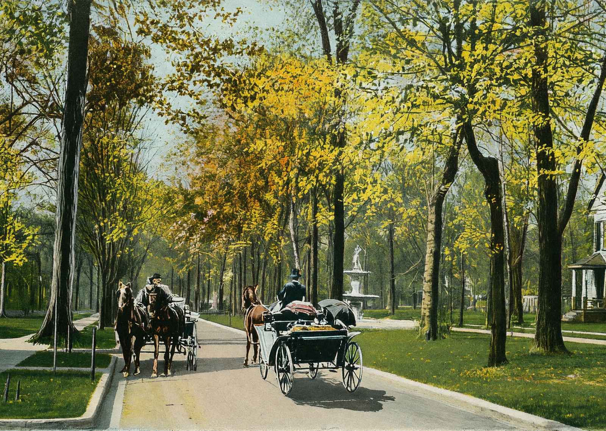 Middle Drive in Woodruff Place Indianapolis in 1905 Vintage Print (7 Sizes)