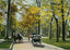 Middle Drive in Woodruff Place Indianapolis in 1905 Vintage Print (7 Sizes)