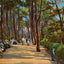 The Invalid's Walk Bournemouth in 1904 Vintage Print (7 Sizes) - Premium Print