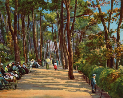 The Invalid's Walk
