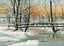 In Winter's Garb Cherokee Park Louisville in 1907 Vintage Print (7 Sizes)