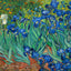 Irises Fine Art Print Painting by Vincent van Gogh (6 Sizes) - Flowers