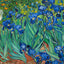 Irises Fine Art Print Painting by Vincent van Gogh (6 Sizes) - Flowers