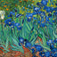 Irises Fine Art Print Painting by Vincent van Gogh (6 Sizes) - Flowers