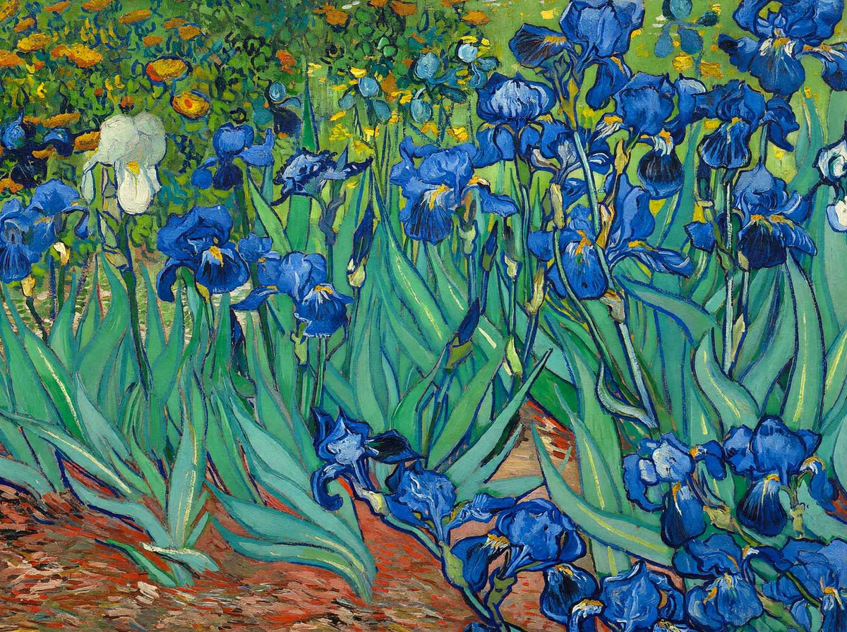 Irises Fine Art Print Painting by Vincent van Gogh (6 Sizes) - Flowers