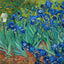 Irises painting print by Vincent van Gogh