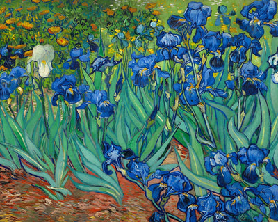 Irises painting print by Vincent van Gogh