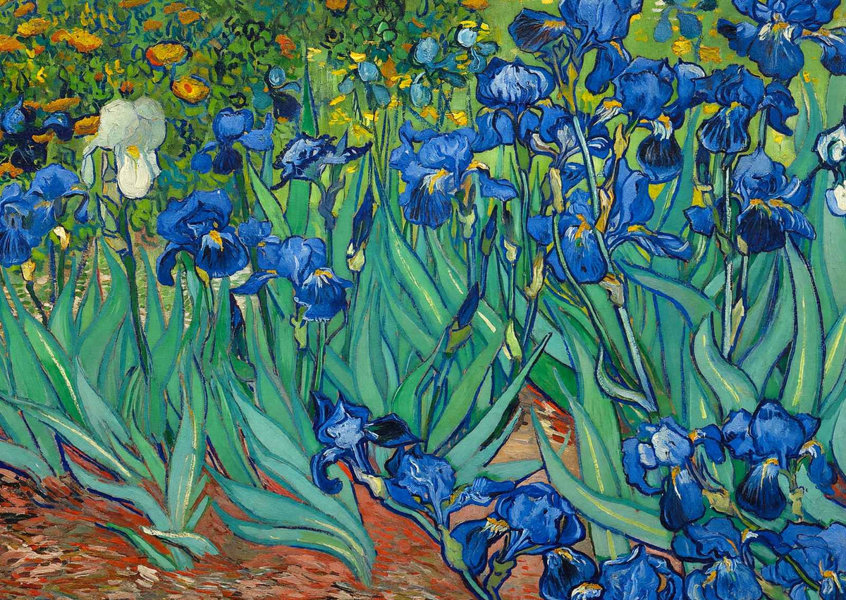 Irises Fine Art Print Painting by Vincent van Gogh (6 Sizes) - Flowers