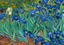Irises Fine Art Print Painting by Vincent van Gogh (6 Sizes) - Flowers