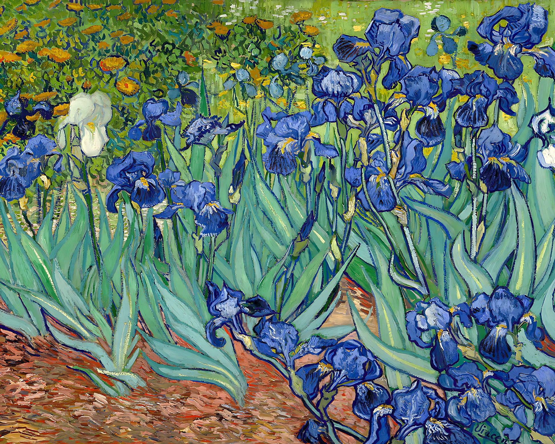 Irises Painting by Vincent van Gogh 8x10" Art Print - Flowers