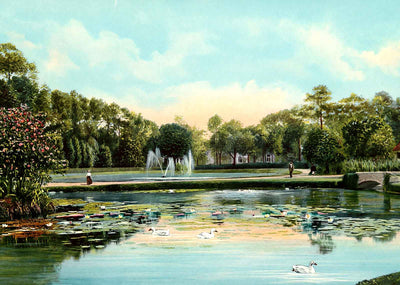 Riverside Park Looking East Jacksonville in 1909 Vintage Print (7 Sizes)