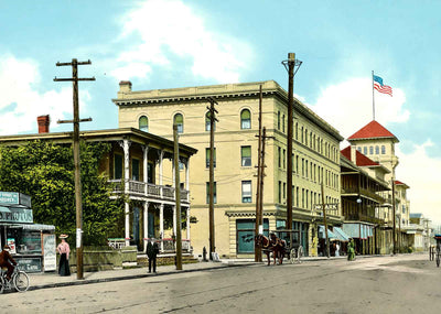 Hogan Street with Park and Windsor Hotels in 1909 Vintage Print (7 Sizes)