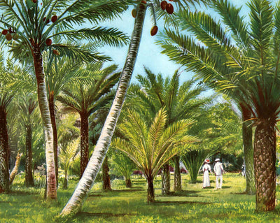 Kapiolani Park