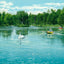 The Lake Grant Park Atlanta in 1906 Vintage Print (7 Sizes) - Restored