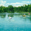 The Lake