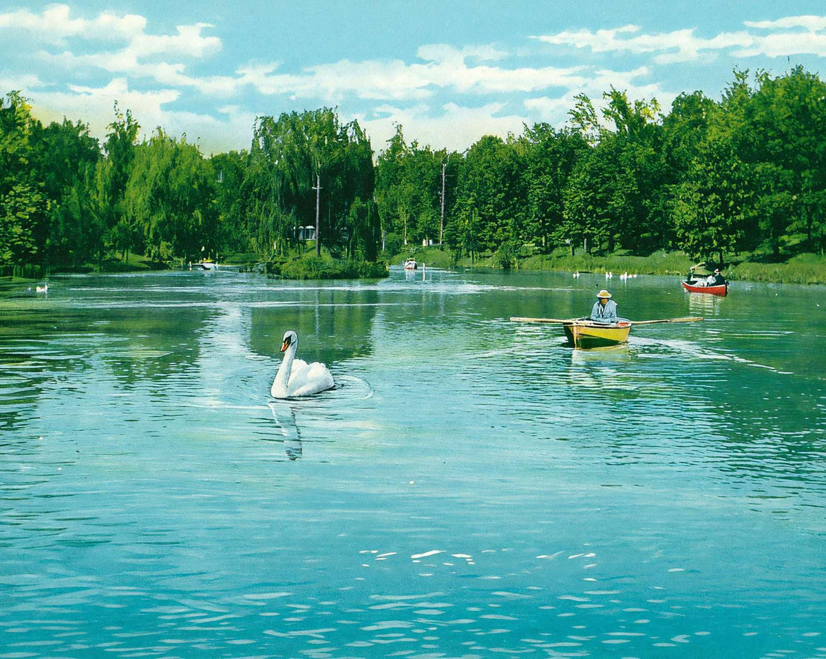 The Lake