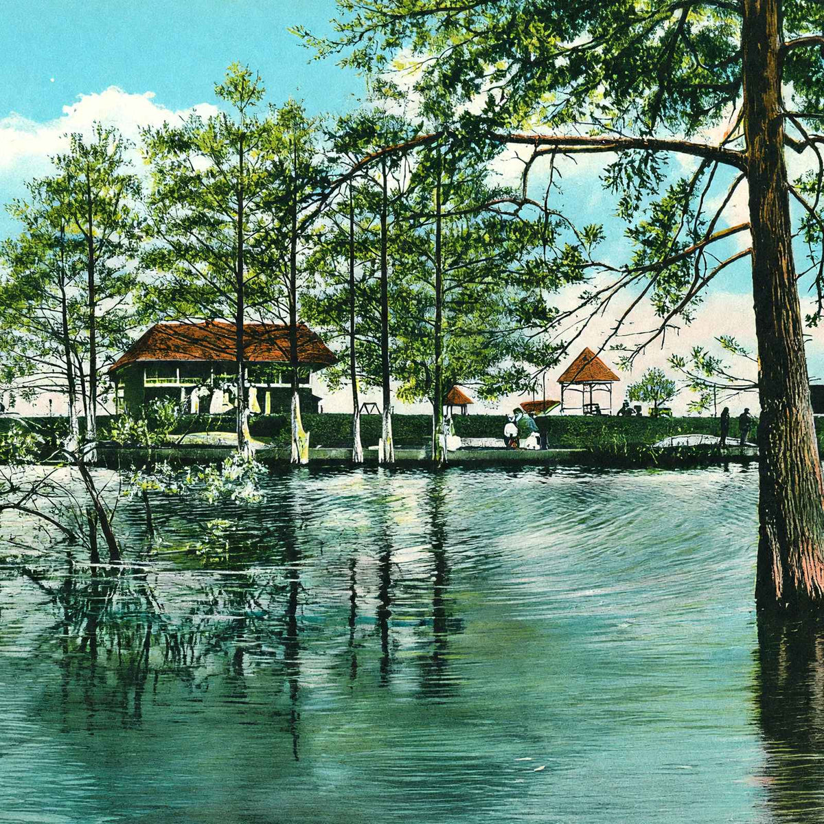 Lake Front of Electric Park Alexandria LA in 1910 Vintage Print (7 Sizes)