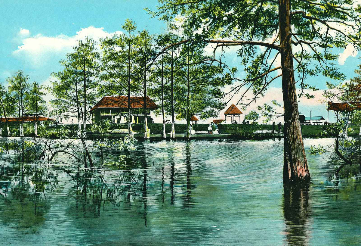 Lake Front of Electric Park Alexandria LA in 1910 Vintage Print (7 Sizes)