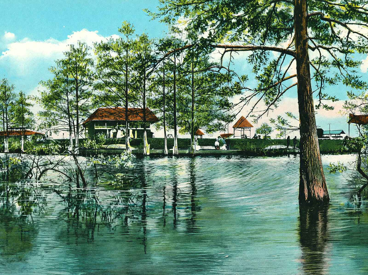 Lake Front of Electric Park Alexandria LA in 1910 Vintage Print (7 Sizes)