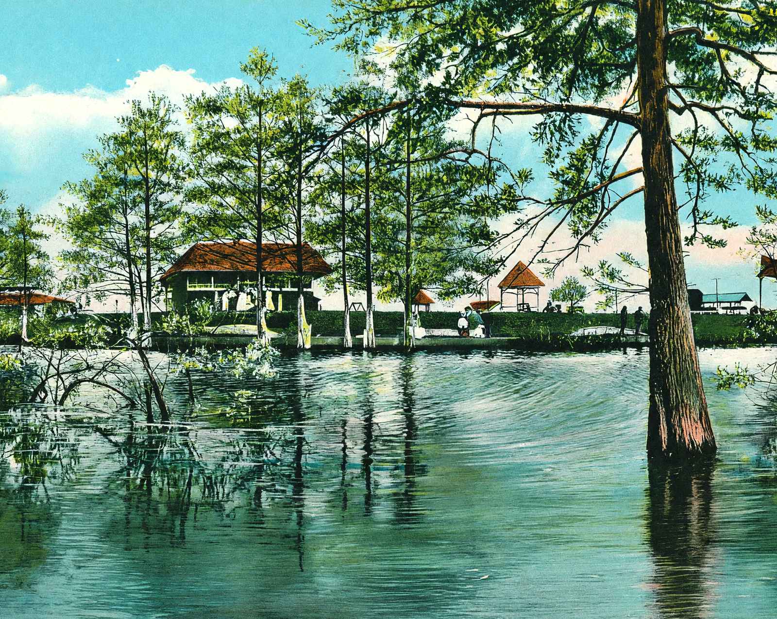 Lake Front of Electric Park