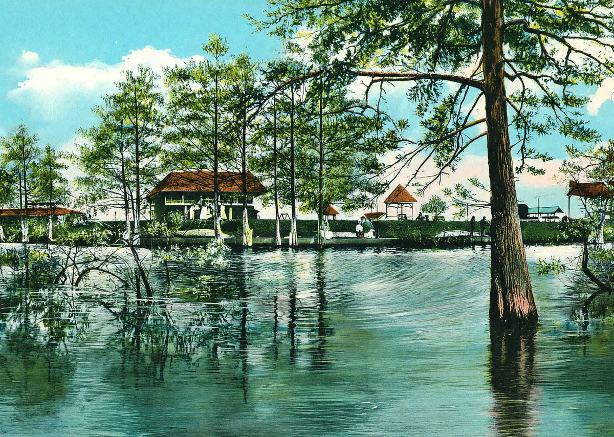 Lake Front of Electric Park Alexandria LA in 1910 Vintage Print (7 Sizes)