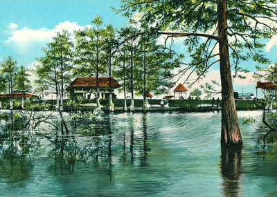 Lake Front of Electric Park Alexandria LA in 1910 Vintage Print (7 Sizes)