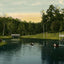 Lake Highland Park Houston in 1906 Vintage Print (7 Sizes) - Premium Print