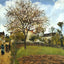 Landscape at Louveciennes Fine Art Print 1870 by Camille Pissarro (6 Sizes)