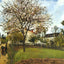 Landscape at Louveciennes Fine Art Print 1870 by Camille Pissarro (6 Sizes)