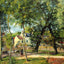 Landscape at Osny Near Watering 1883 by Camille Pissarro Art Print (6 Sizes)