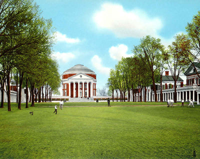 The Lawn