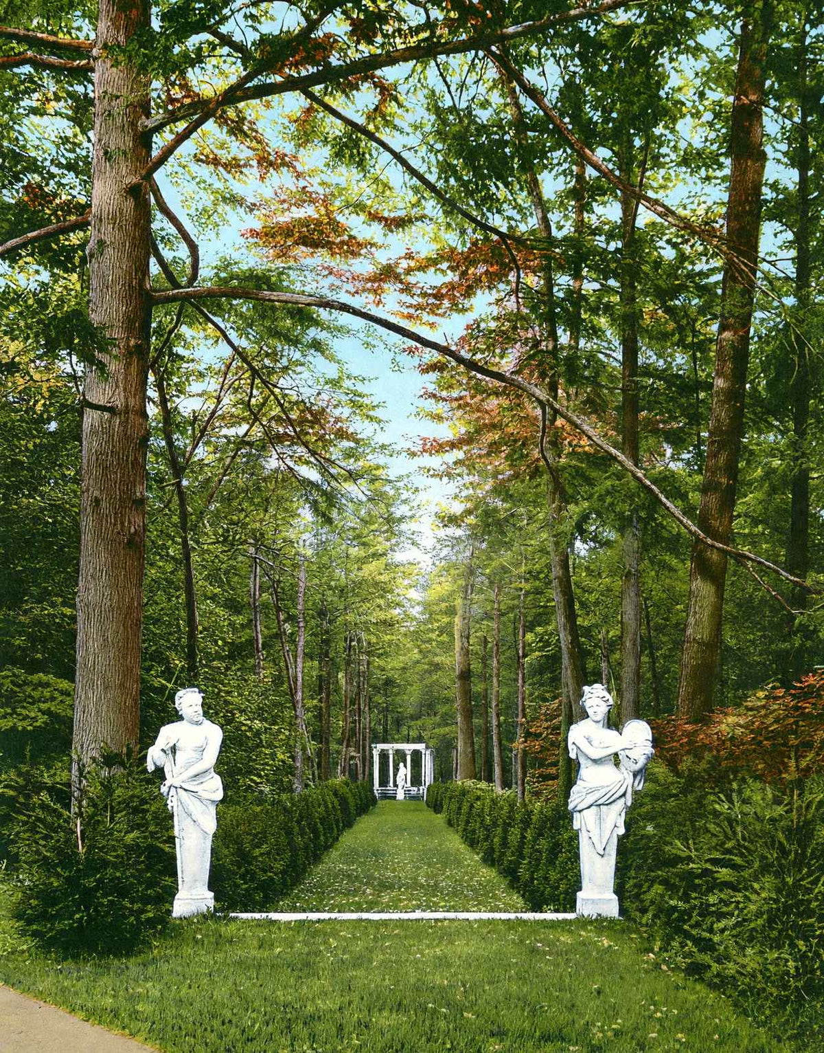 A Wood Scene on Giraud Foster's Estate, Lenox, MA in 1906 Vintage Print