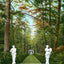 A Wood Scene on Giraud Foster's Estate, Lenox, MA in 1906 Vintage Print