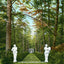 Giraud Foster Estate Woods