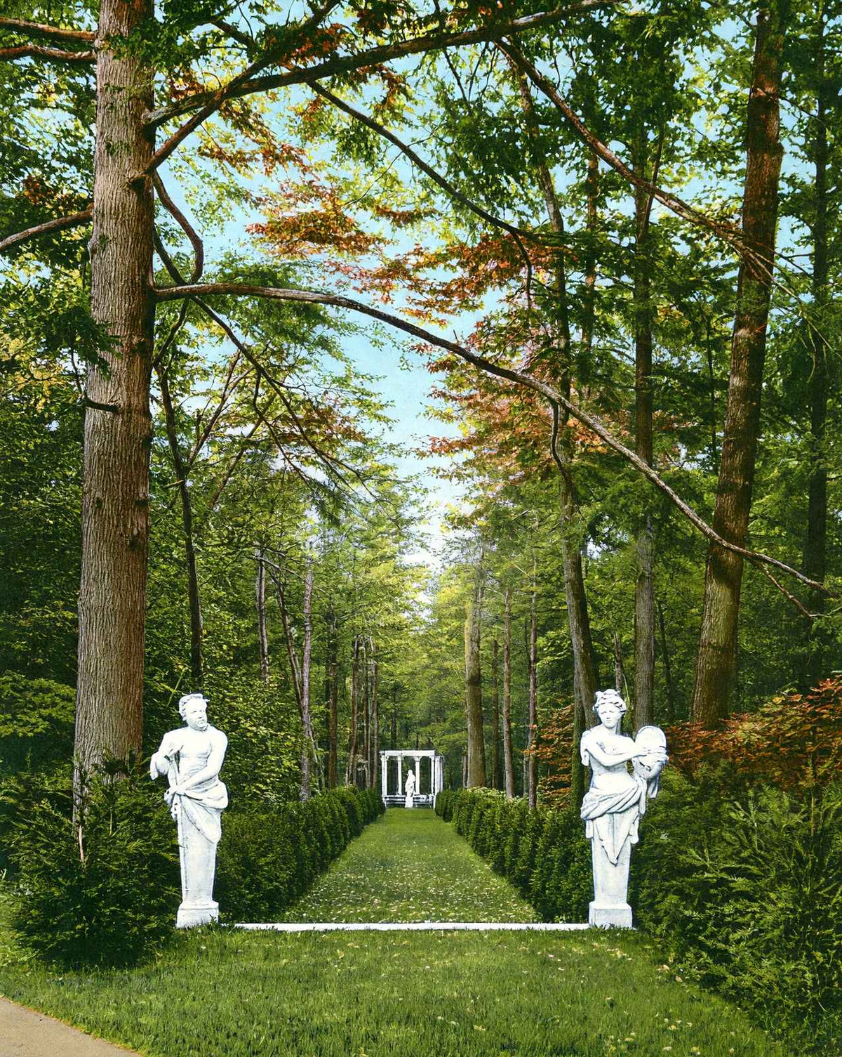 Giraud Foster Estate Woods
