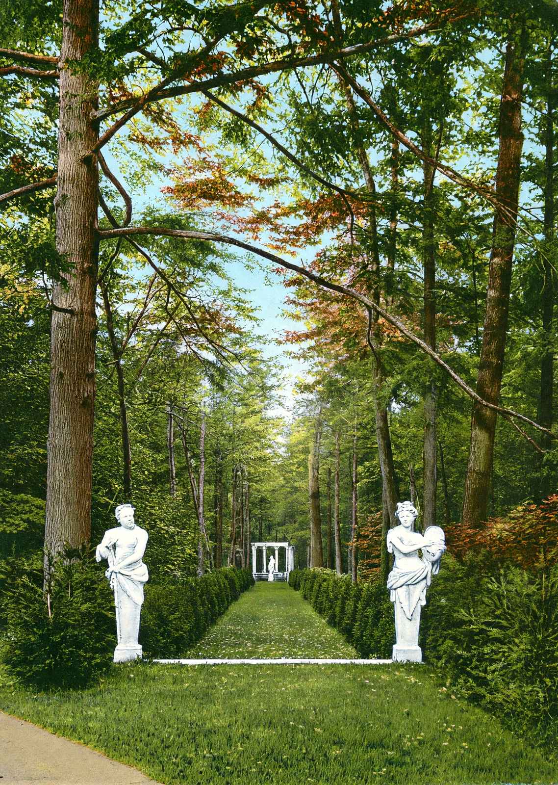 A Wood Scene on Giraud Foster's Estate, Lenox, MA in 1906 Vintage Print