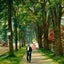Looking Down Kemble Street, Lenox, Massachusetts in 1906 Art Print (7 Sizes)